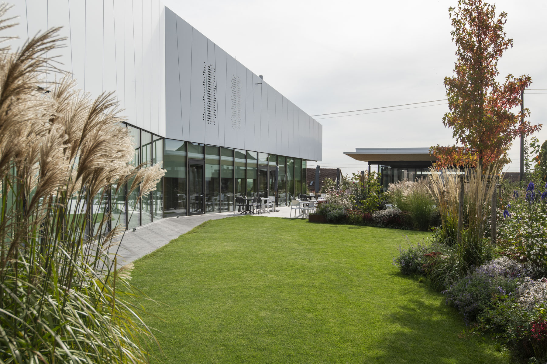 Firmengebäude mit teilweiser Glasfassade Rasenfläche, Strauchpflanzen und Terrasse